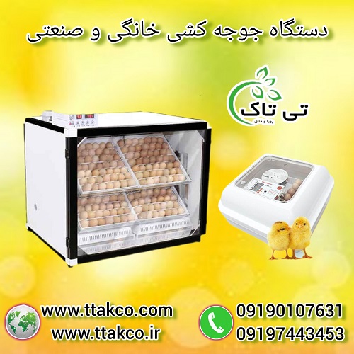 خرید و قیمت دستگاه جوجه کشی صنعتی و خانگی