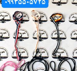 مجموعه کوروش تولید کننده جلیقه پرواز
