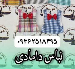 مجموعه کوروش تولید کننده لباس دامادی عروس هلندی
