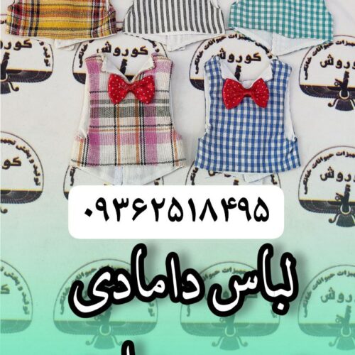 مجموعه کوروش تولید کننده لباس دامادی عروس هلندی