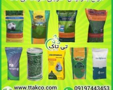 خرید و قیمت انواع بذر چمن خارجی 09190993466