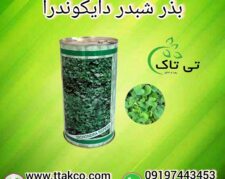 بذر چمن ، شبذر زینتی دایکوندرا – 09190993466