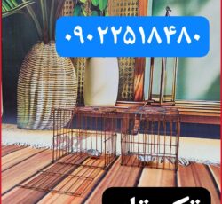 مجموعه کوروش تولید کننده تک تله